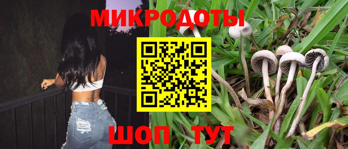 Галлюциногенные грибы прущие грибы Владивосток